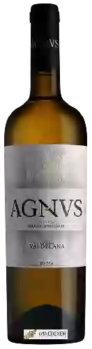 Domaine Valdelana - AGNVS Valdelana de Autor Malvasia