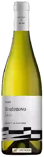 Domaine Valdesil - Montenovo Godello