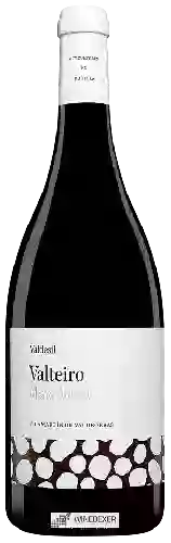 Domaine Valdesil - Valteiro María Ardoña