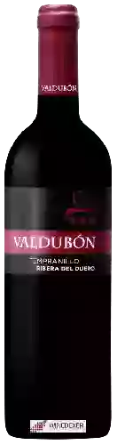 Domaine Valdubon - Ribera del Duero