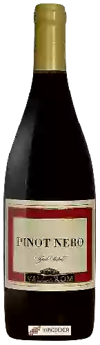 Domaine Vallarom - Vigneto Ventrat Pinot Nero