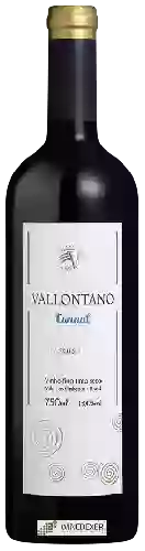 Domaine Vallontano - Reserva Tannat