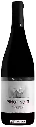 Domaine Varone - Pinot Noir