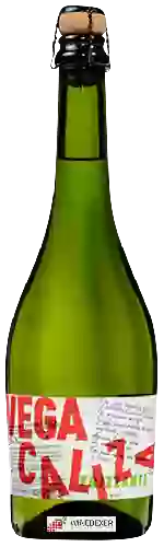 Domaine Vega Caliza - Frizzante