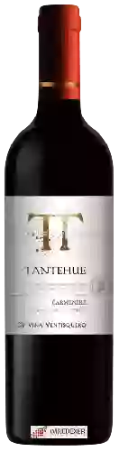 Domaine Ventisquero - Tantehue Carménère