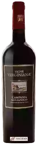 Domaine Vigne Verginianae - Campania Aglianico