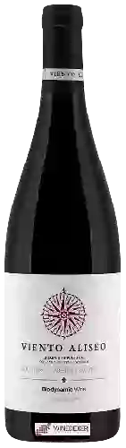 Domaine Viento Aliseo - Graciano - Cabernet Sauvignon