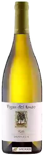 Domaine Vigna del Lauro - Sauvignon