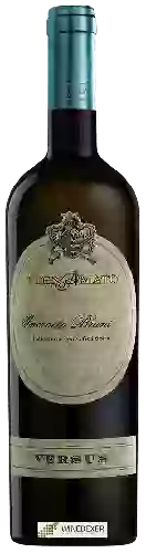 Domaine Vignamato - Versus Incrocio Bruni 54