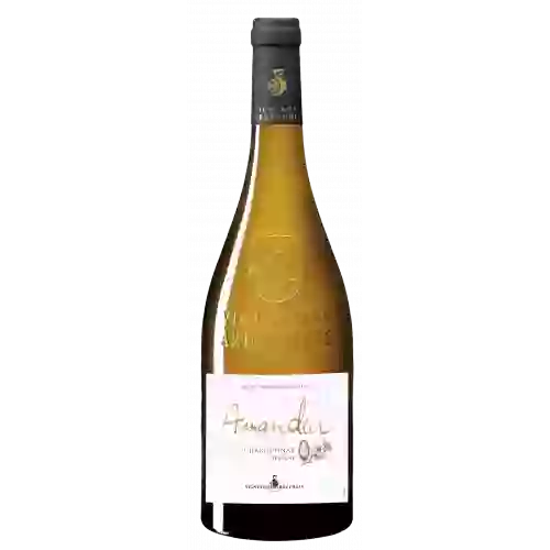 Domaine Vignerons Ardéchois - Terre d'Amandier Reserve