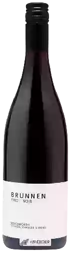 Domaine Vignerons Schmolzer & Brown - Brunnen Pinot Noir