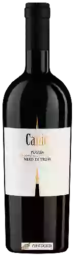 Domaine Vigneti del Salento - Canio Nero di Troia