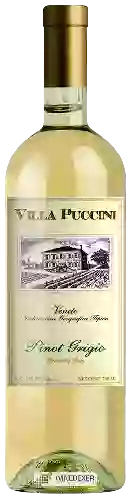 Domaine Villa Puccini - Pinot Grigio Veneto