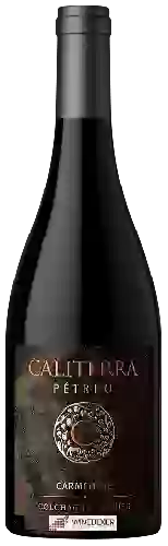 Domaine Caliterra - Pétreo Carménère