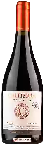 Domaine Caliterra - Tributo Pinot Noir