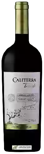 Domaine Caliterra - Tributo Shiraz - Cabernet Sauvignon - Viognier Edición Limitada