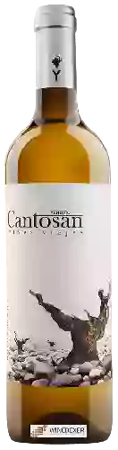 Domaine Viña Cantosán