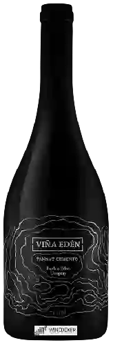 Domaine Viña Edén - Tannat Cemento