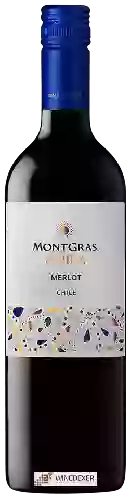 Domaine MontGras - Aura Merlot