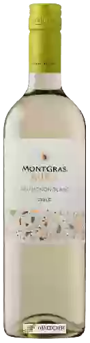 Domaine MontGras - Aura Sauvignon Blanc