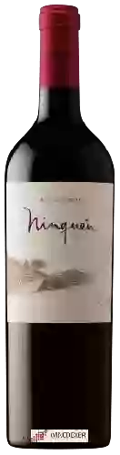 Domaine MontGras - Ninquén (Mountain Vineyard)