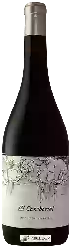 Domaine Viñas Serranas - El Canchorral