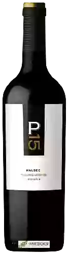 Domaine Malma - NQN - P 15 Malbec