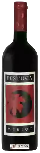 Domaine Vini Sara Meneguz - Festuca Merlot