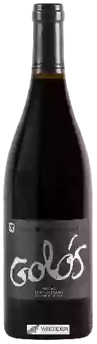 Domaine Vins Miquel Gelabert - Golós Negre