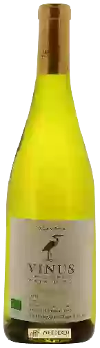 Domaine Vinus - Viognier