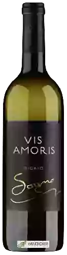 Domaine Vis Amoris - Pigato Sogno