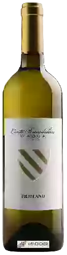 Domaine Conte Brandolini - Friulano