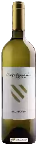 Domaine Conte Brandolini - Sauvignon