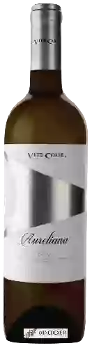 Domaine Vite Colte - Aureliana Gavi