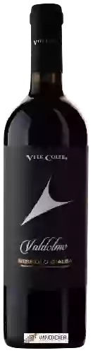 Domaine Vite Colte - Valdolmo Nebbiolo d'Alba