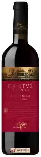 Domaine Vitis Metamorfosis - Cantus Primus Fetească Neagră