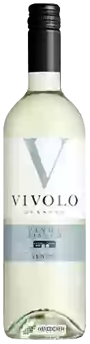 Domaine Vivolo di Sasso - Pinot Bianco Veneto