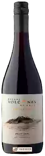 Domaine Volcanes - Reserva Pinot Noir