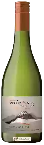 Domaine Volcanes - Tectonia Sauvignon Blanc