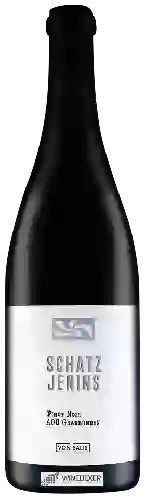 Domaine Von Salis - Schatz Jenins Pinot Noir