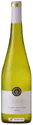 Domaine Véronique Günther Chéreau - Coing de Sèvre Muscadet-Sevre et Maine Sur Lie