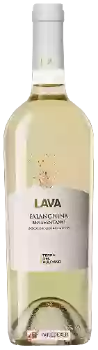 Domaine Vulcano - Lava Falanghina Beneventano