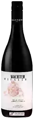 Domaine Wachter-Wiesler - Béla-Jóska Eisenberg