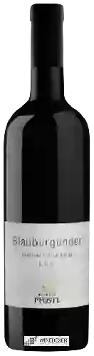 Domaine Weingut Pfostl - Blauburgunder