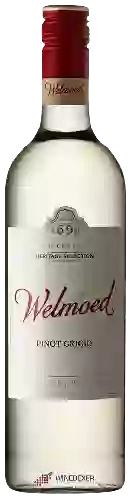 Domaine Welmoed - Pinot Grigio