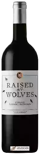 Domaine Yardstick - Raised By Wolves 'Old School' Cinsault - Cabernet Sauvignon