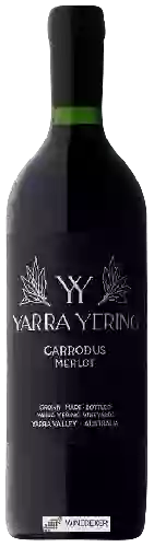 Domaine Yarra Yering - Carrodus Merlot