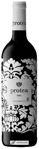 Domaine Protea