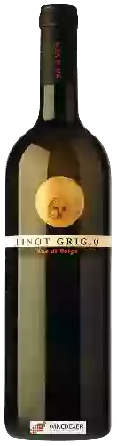 Domaine Zuc di Volpe - Pinot Grigio