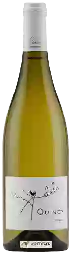 Bodega Adèle Rouzé - Miss Adèle Quincy Sauvignon